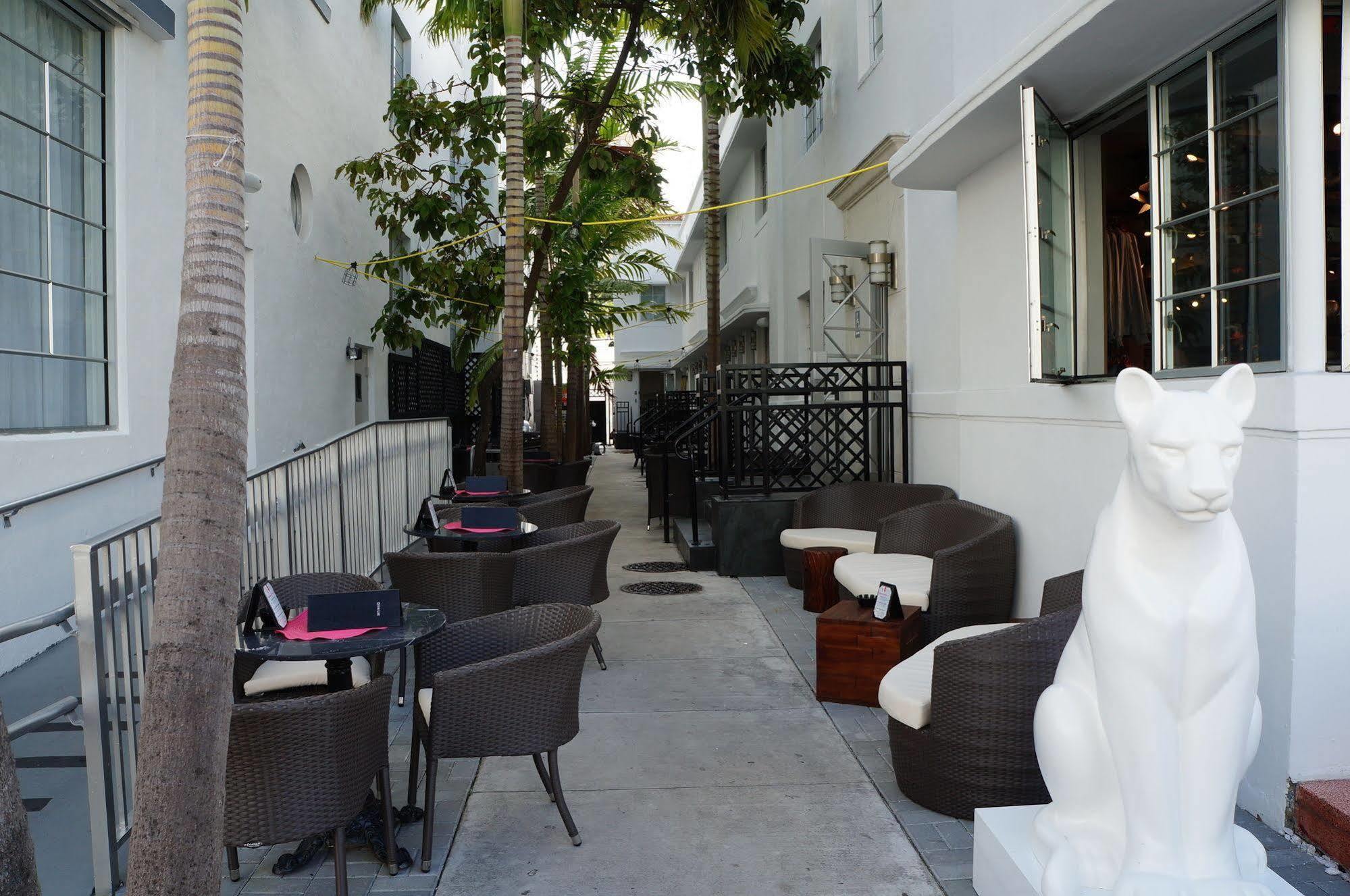 Posh South Beach Miami Beach Exterior foto